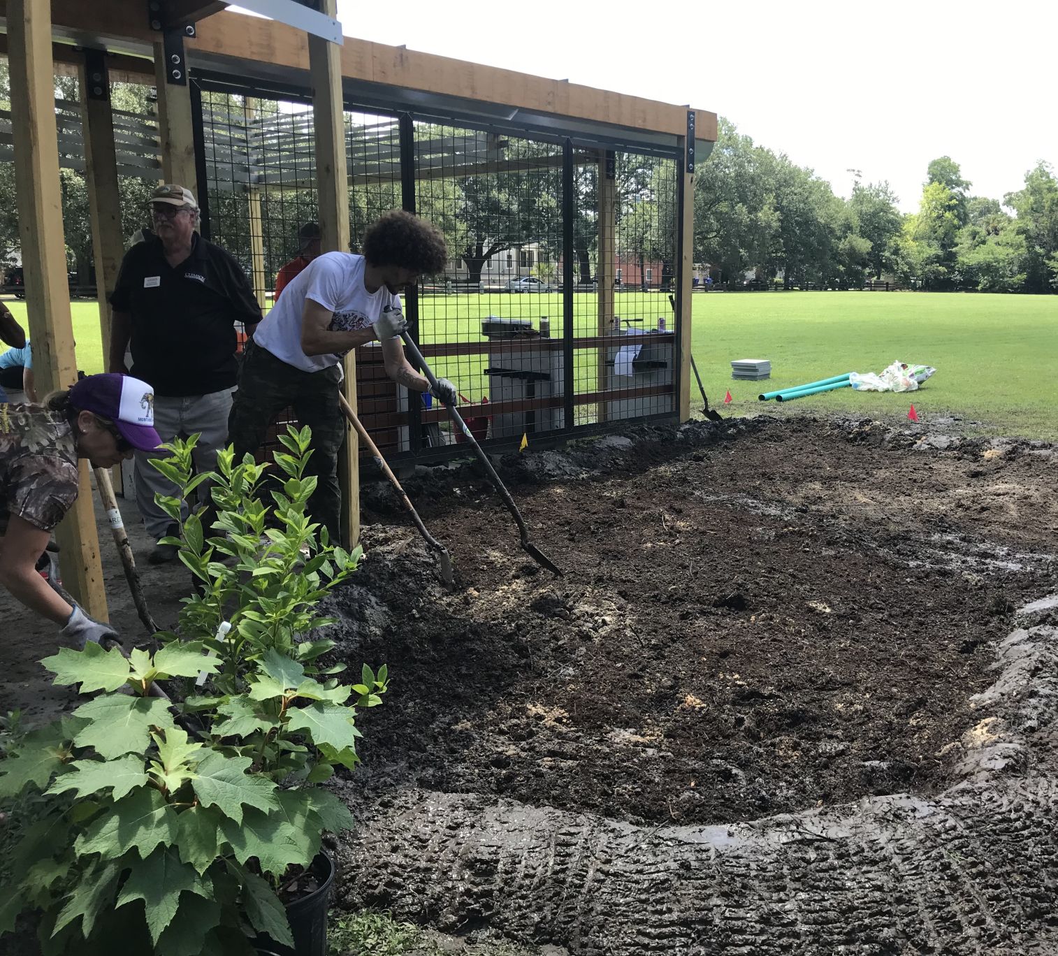 rain garden.jpg